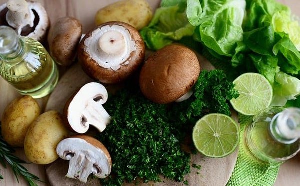 Les secrets d'un potager bio prospère : conseils et techniques indispensables