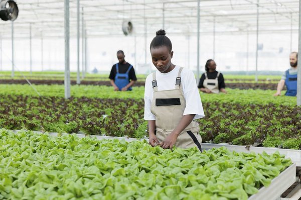 Quelle est la méthode de classement des détachants textiles ?