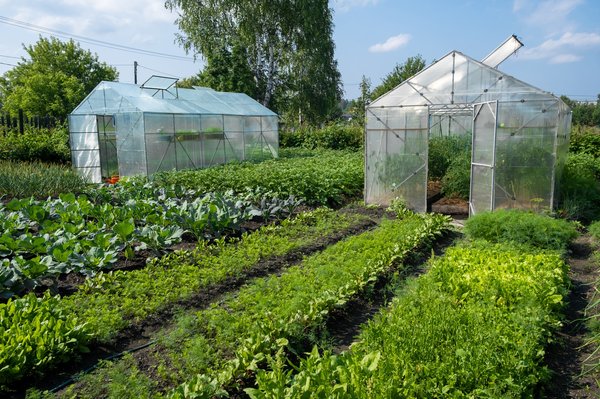 Préparer son jardin pour l'hiver : voici les bons conseils